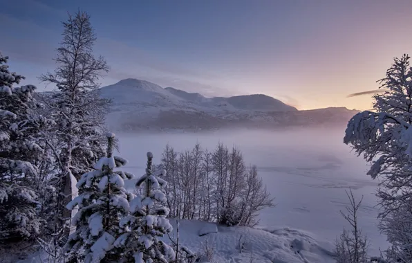 Winter, snow, trees, mountains, lake, Norway, Norway, Møre and Romsdal