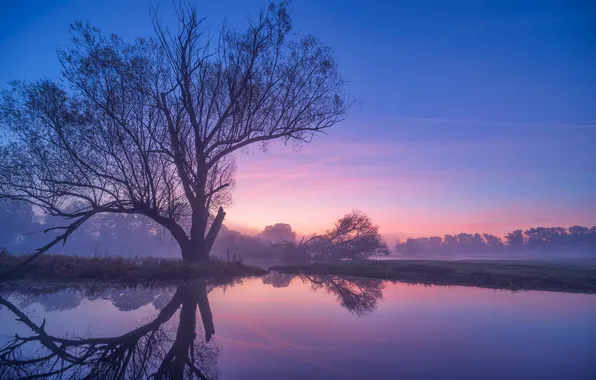 Picture autumn, fog, reflection, river, tree, dawn, morning, Poland