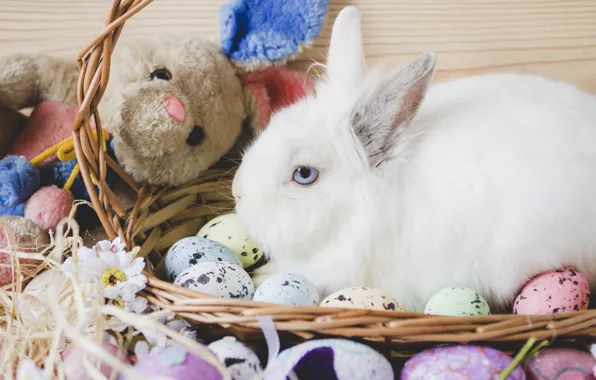 Picture holiday, eggs, toy, rabbit, basket, Easter
