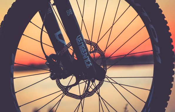 Bike, wheel, silhouette, bike, disk, plug, spokes, specialized