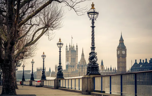 Trees, river, London, lights, UK, Thames, Big Ben, promenade
