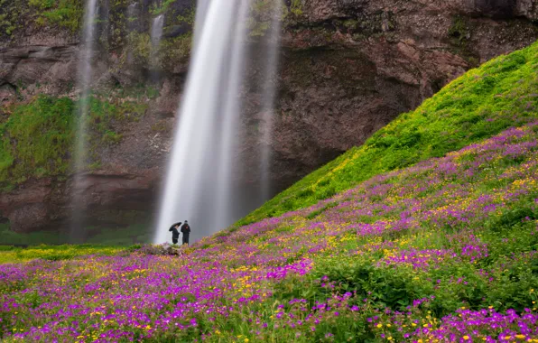 Greens, summer, water, flowers, mountains, people, rocks, shore