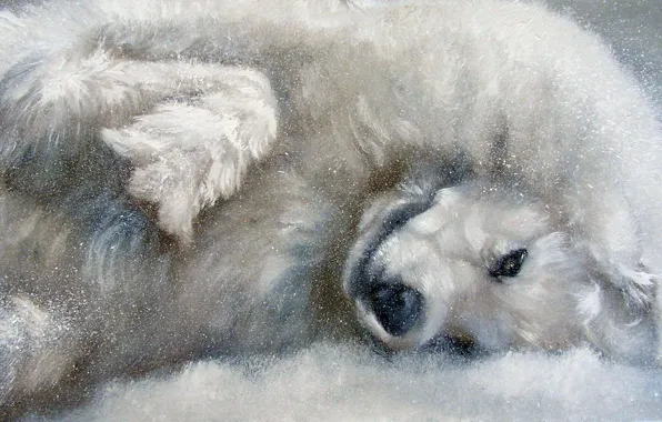 Look, pose, oil, portrait, dog, painting, face, canvas