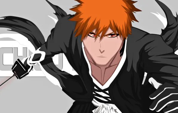 Game, Bleach, anime, bankai, asian, manga, japanese, oriental