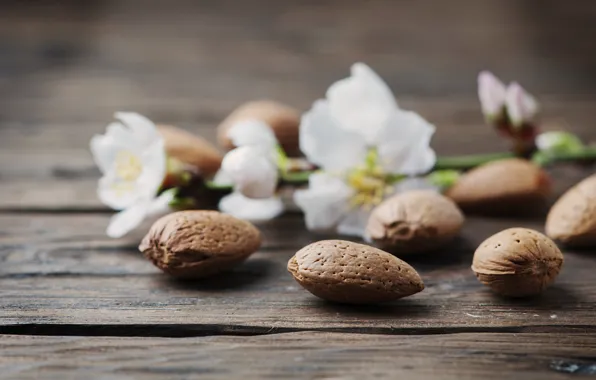 Picture flower, Board, nuts, almonds