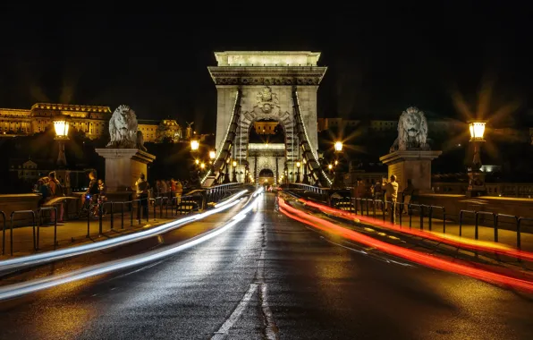 Road, light, night, bridge, the city, people, perspective, building