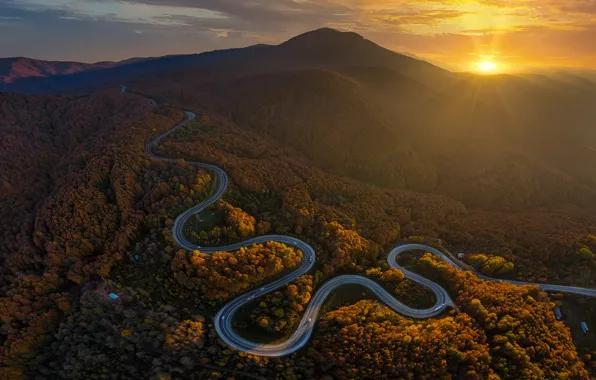 Road, autumn, forest, the sun, rays, light, mountains, fog