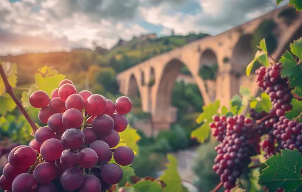 The sky, leaves, clouds, light, red, bridge, pink, hills