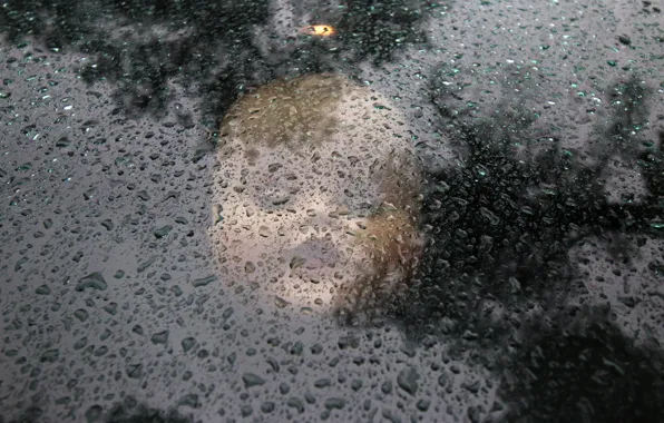 Water, drops, surface, doll