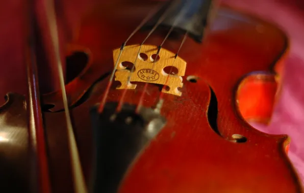 Macro, music, violin