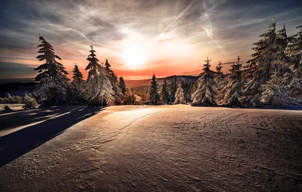 Winter, forest, the sky, the sun, clouds, light, snow, sunset