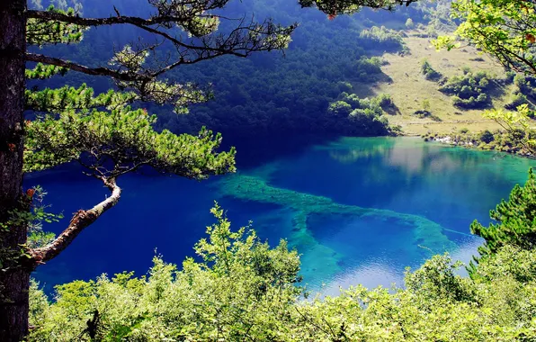 Picture forest, mountains, nature, lake, Park, photo, China, national