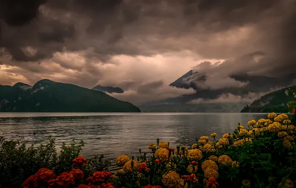 Clouds, flowers, mountains, clouds, shore, pond, marigolds, gloomy sky