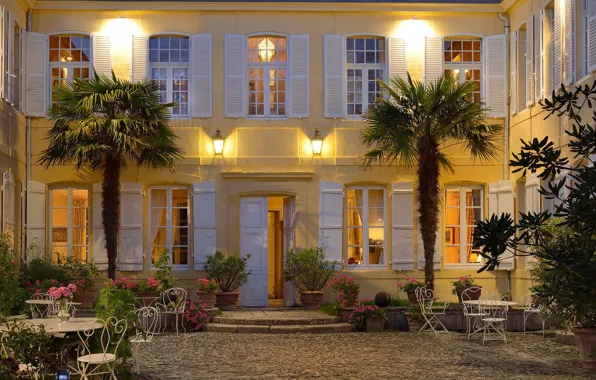 Flowers, the city, house, palm trees, France, the evening, lighting, restaurant
