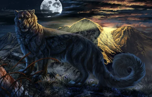 Night, the moon, beast