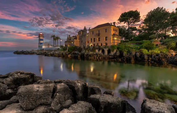 Sea, the sky, clouds, trees, sunset, lights, stones, palm trees