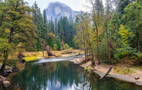 Autumn, forest, trees, mountains, stream, stones, rocks, CA