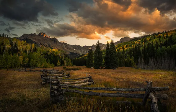 Field, autumn, forest, the sky, clouds, mountains, the fence, horses