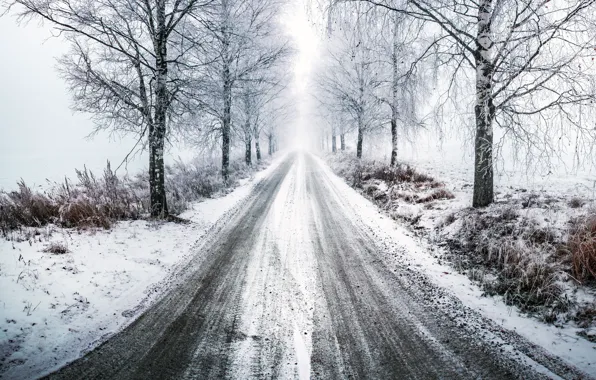 Winter, road, light, trees, the way, birch