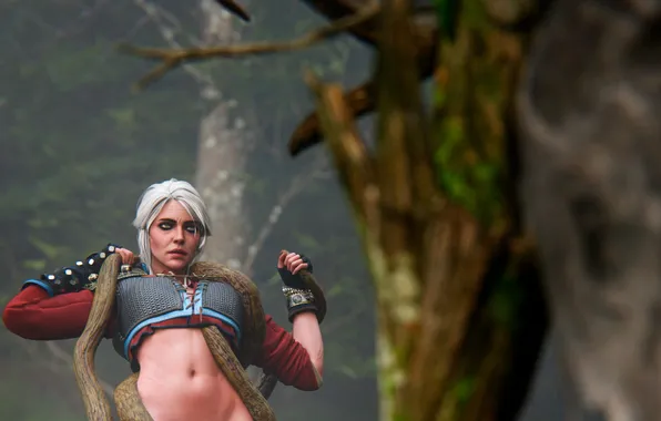 3d art, The witcher, 3D Art, Ciri, NYC, HENTAI, I was Art, Spirit of the …