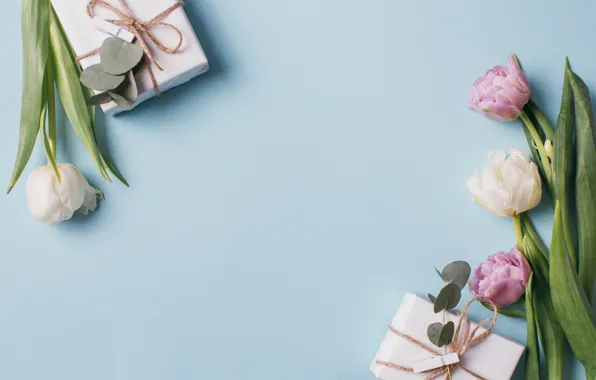 Love, flowers, gift, tulips, love, pink, white, white