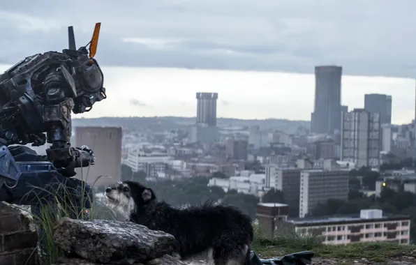 Picture Chappie, The robot named Chappy, I am wonder, I am discovery, I am chappie
