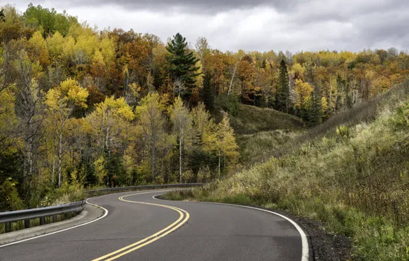 Road, autumn, forest, nature, turn