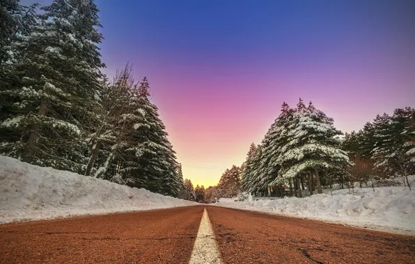 Picture winter, road, forest, the sky, forest, trees, winter, roads