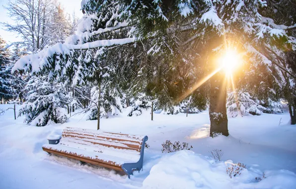Winter, snow, bench, Park, white, landscape, park, winter