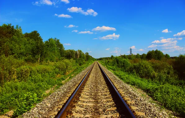 The sky, trees, railroad, summer.