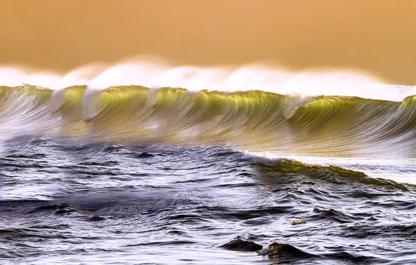 Sea, wave, squirt, the ocean