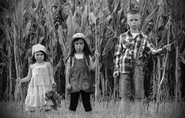 Picture photo, based on the movie, children of the corn