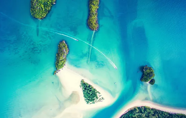 Picture sand, sea, palm trees, island, boat, walk, the view from the top