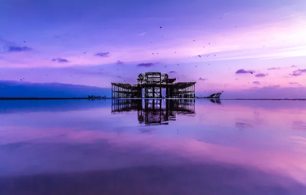 The sky, water, clouds, birds, surface, Sea, pierce, calm