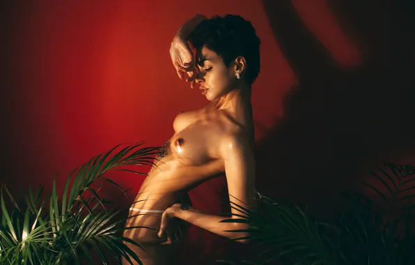 Chest, pose, wall, model, naked, body, shadow, plants
