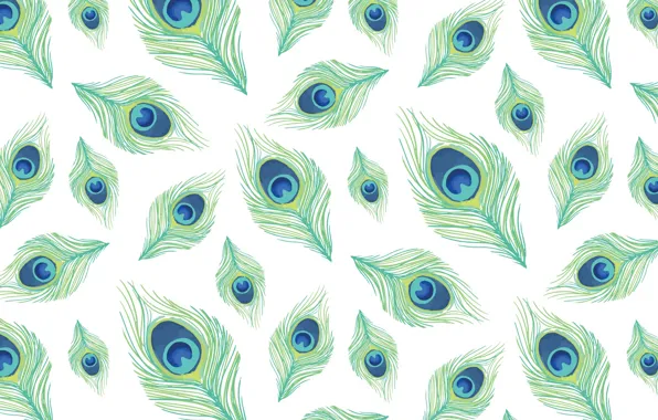 White, blue, green, background, texture, design, pattern, feather