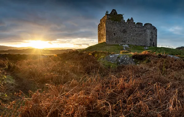 The sky, grass, sunset, castle, ruins