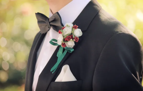 Flowers, butterfly, costume, the groom