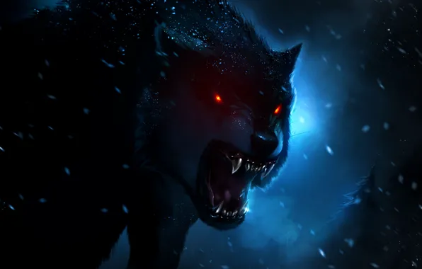 Night, darkness, wolf, art, evil, hunter