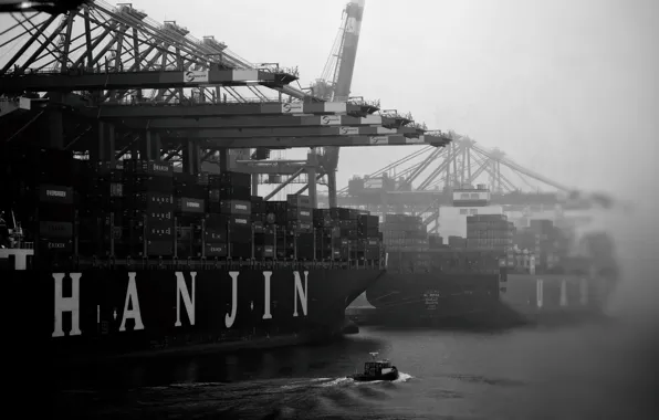 Fog, Port, Boat, The ship, A container ship, Cranes, Black - and-white., Zaton