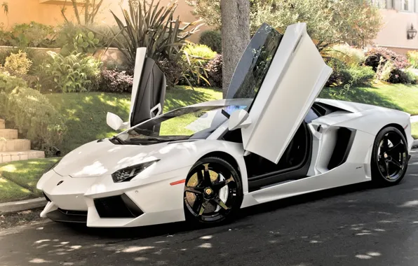 Lamborghini, door, white, open, Aventador