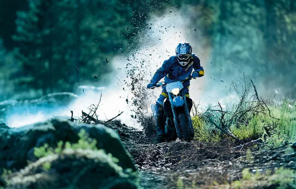 Branches, nature, Wallpaper, sport, Moto, dirt, motorcycle, motorcyclist