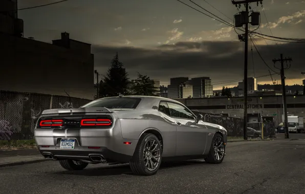 The evening, Road, Machine, Street, Dodge, Challenger, Drives, SRT