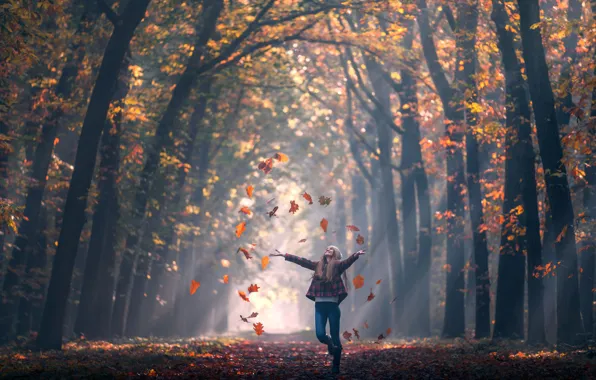 Autumn, leaves, girl, Fall, alley