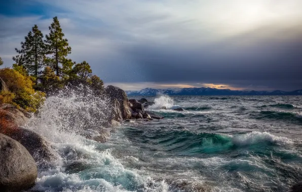 Wave, trees, mountains, squirt, lake, stones, storm, pine