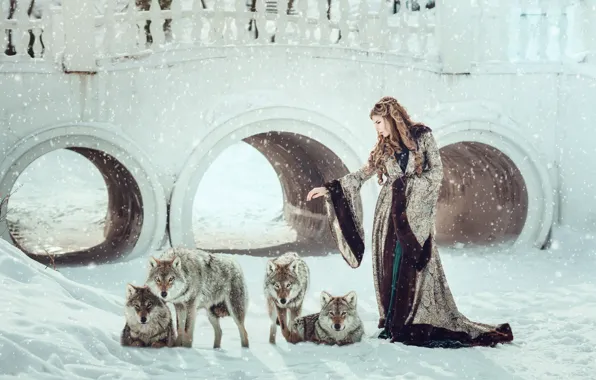 Picture winter, look, girl, snow, bridge, pose, grey, wolf
