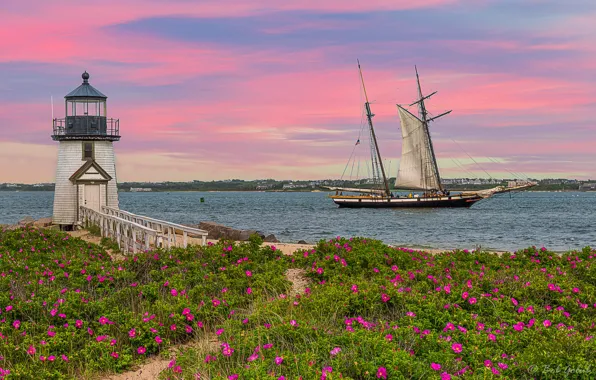 Flowers, the ocean, coast, lighthouse, sailboat, Massachusetts, The Atlantic ocean, Massachusetts