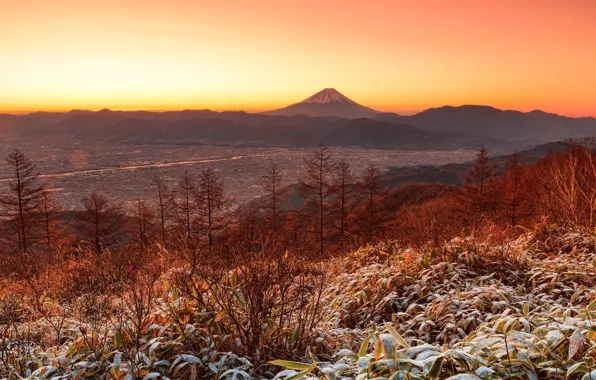 Frost, autumn, forest, the sky, leaves, landscape, mountains, hills