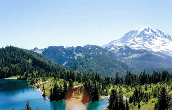 Picture forest, landscape, mountains, nature, lake