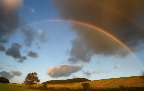 Landscape, nature, rainbow